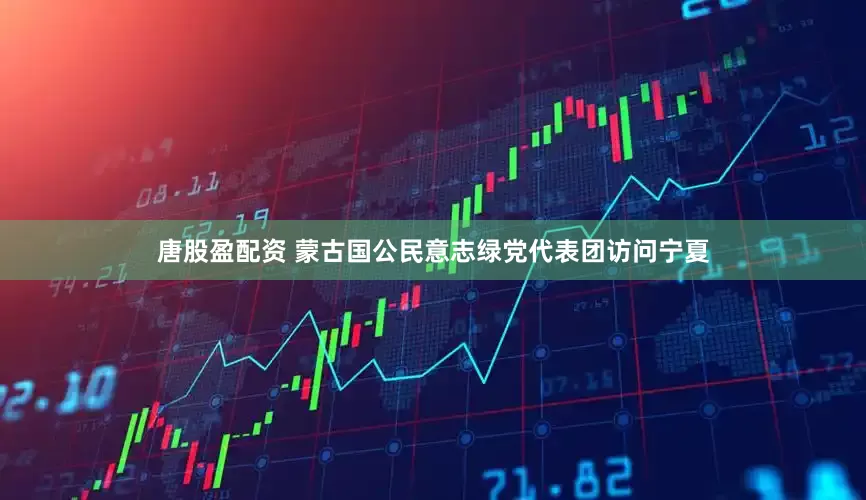 唐股盈配资 蒙古国公民意志绿党代表团访问宁夏